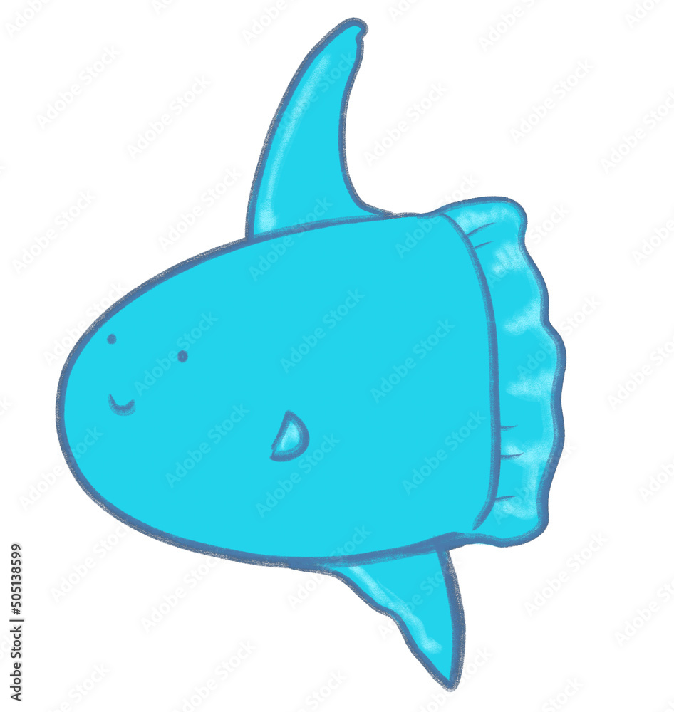 Fototapeta premium sunfish, mola mola marine under the sea animal cartoon hand drawn doodle illustration