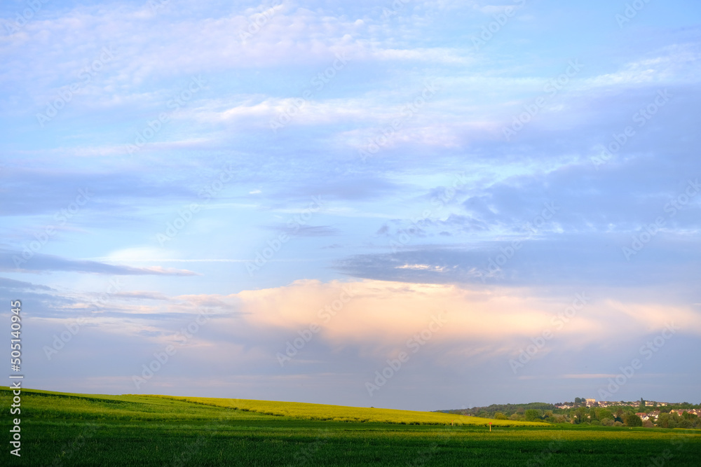 beautiful summer landscape, blue sky with clouds, green fields of ripening wheat, forest behind the hill, houses, trees, concept of beauty of nature, preservation of ecology, growing crops