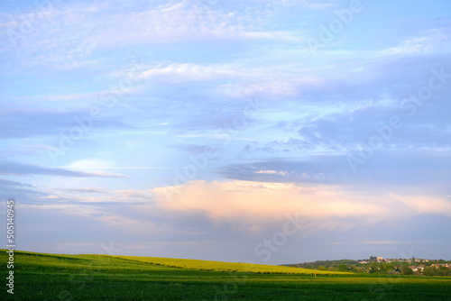 beautiful summer landscape, blue sky with clouds, green fields of ripening wheat, forest behind the hill, houses, trees, concept of beauty of nature, preservation of ecology, growing crops