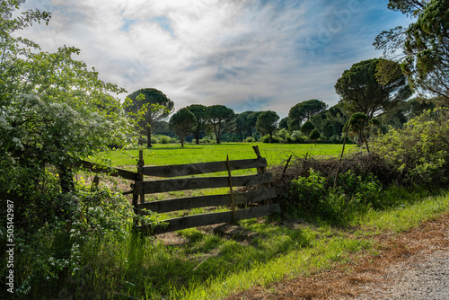 Fenced farm in a green nature