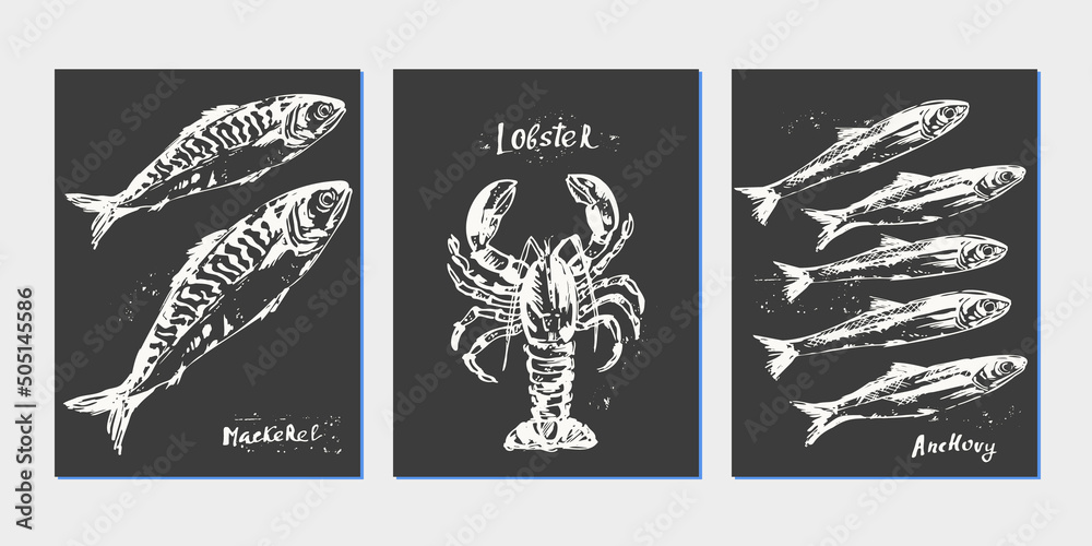 Hand drawn chalk sketch of seafood and fish