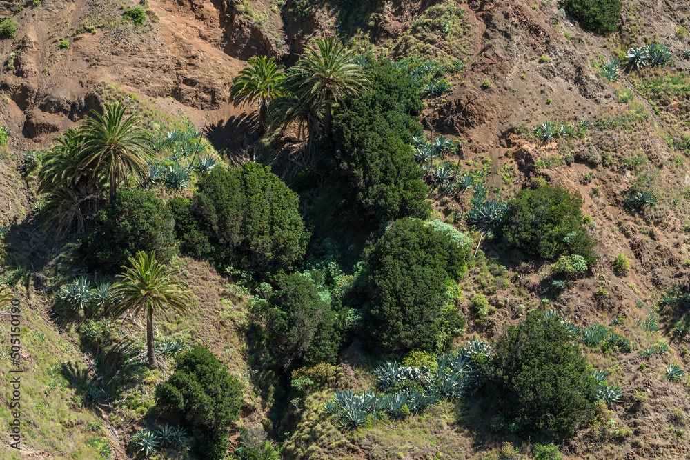 Landscape of La Gomera Landscape of La Gomera