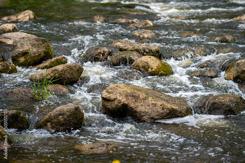 Large rocks with moss and lichens in the river stream. Background of fast-flowing water  close-up