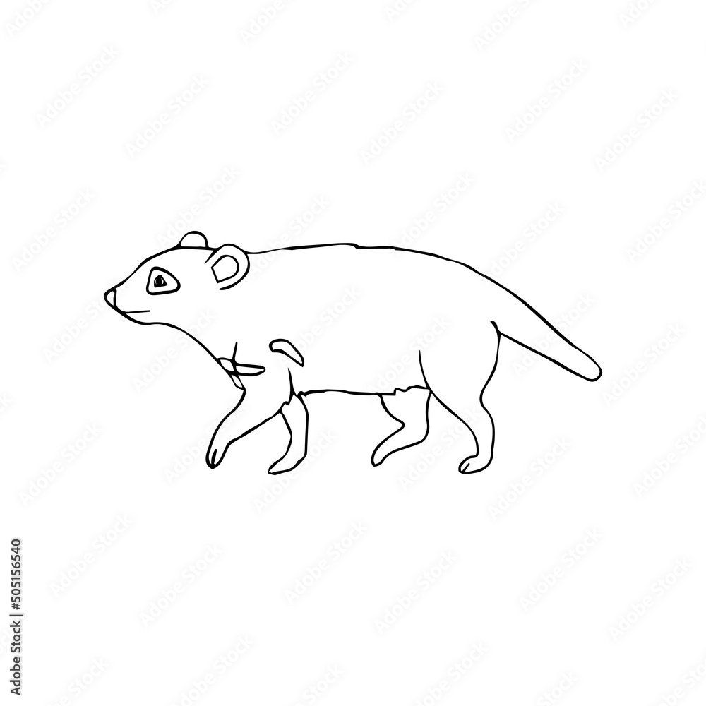 Vector hand drawn doodle sketch Tasmanian devil isolated on white background