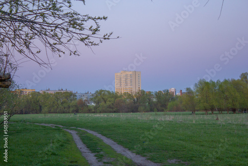 evening meadows