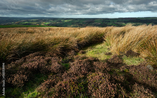 North York Moors with heather and cotton grasses in autumn. Grosmont, UK. photo