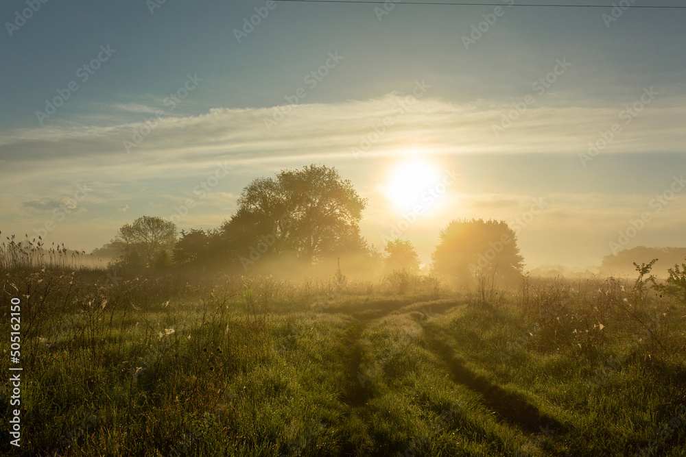 Looking at the dawn and the road going into the distance. Green grass, fog and dew Looking at the dawn and the road going into the distance. Green grass, fog and dew