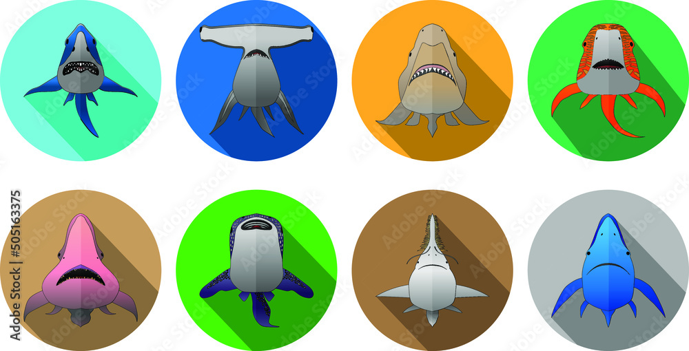 Set of Sharks in flat design. Isolated on white background
