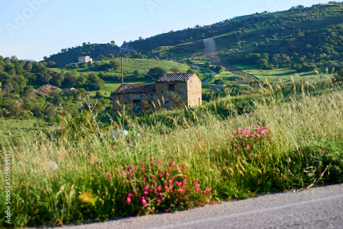 red flowering countryside typical of Sulla Hedysarum Coronarium with a rural house in Central Sicily in the warm hours close to sunset photo