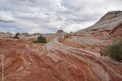 View of White Pocket in Vermilion Cliffs National Monument, Arizona, USA