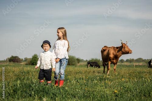 Happy Farmer children family in green field with big cow in a green field with flowers on a sunny summer day. biological milk products