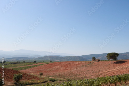 paysage espagne rioja , chemin serpentant a travers les vignobles , collines ,   vallons, sur la route de saint jaques de Compostelle 