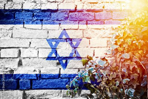 Israel grunge flag on brick wall with ivy plant sun haze view