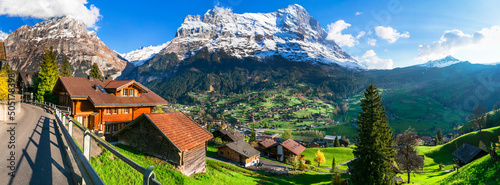 Stampa su tela Switzerland nature and travel