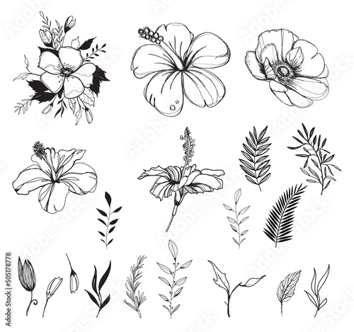 Hand drawn flower composition isolated flowers, line black anemone, hibiscus, palm leaf, branch