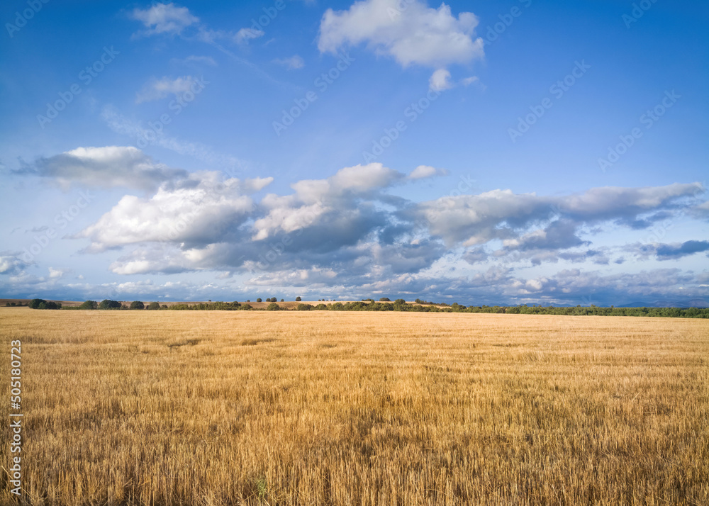 Agricultural fields and harvested grain and horizon oak forests
