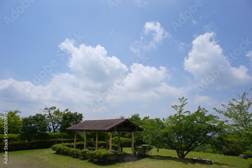 晴れた日の自然公園