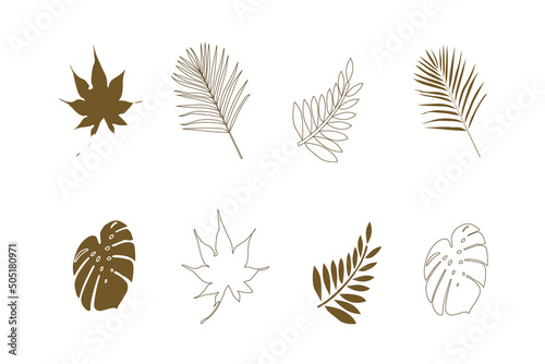 Brown leaf vector work with streaks. and is in color Used to decorate the event and do advertising work.