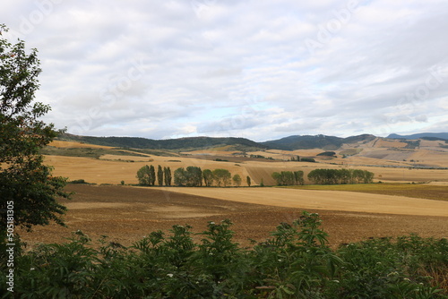 paysage champêtre