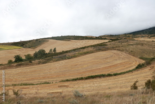 paysage champêtre