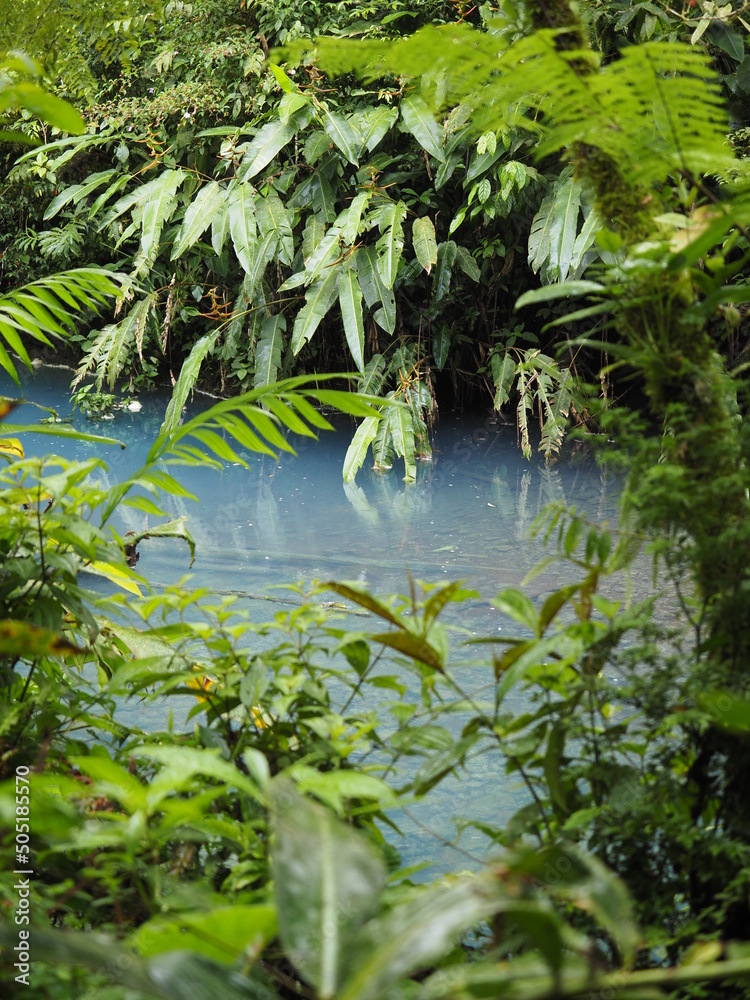 VIEW OF THE RIVER RIO CELESTE IN COSTA RICA VIEW OF THE RIVER RIO CELESTE IN COSTA RICA
