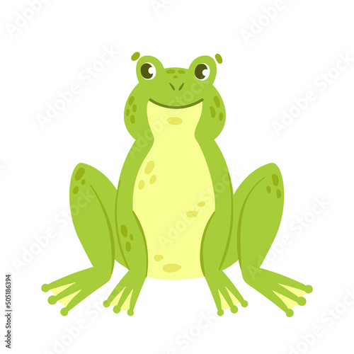 Green frog in sitting pose. Wild aquatic fauna  water amphibian vector illustration