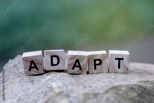 Adapt word on wooden cube