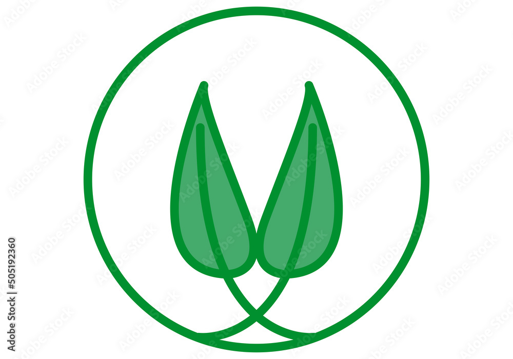 Par de hojas verdes de producto eco en fondo blanco. Par de hojas verdes de producto eco en fondo blanco.