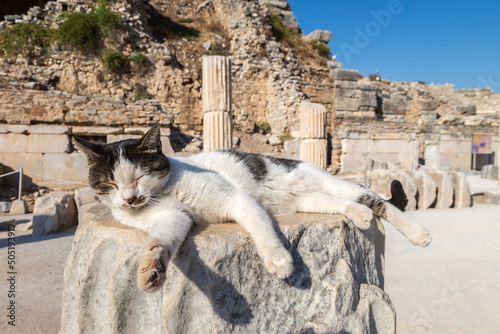Ancient city Ephesus, Turkey