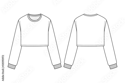 Fashion technical drawing of cropped sweatshirt