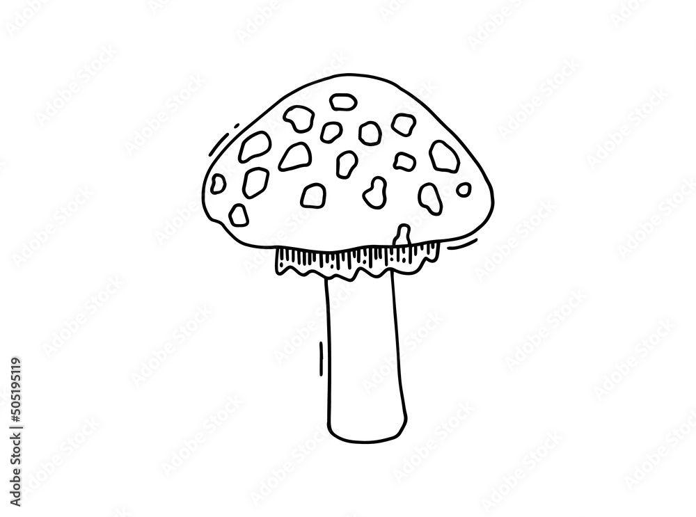 Hand drawn fly-agaric doodle icon. Amanita mushroom. Poisonous toadstool fly agaric. Hand drawn doodle. Hand drawn fly-agaric doodle icon. Amanita mushroom. Poisonous toadstool fly agaric. Hand drawn doodle.