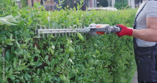 Professional caucasian gardener working with modern electric cutter outdoors. Close up of young man in brown overalls trimming boxwood bushes at summer time. Concept of seasonal gardening.