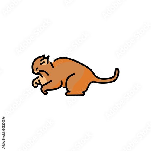 Evil cat fights color line icon. Pictogram for web page
