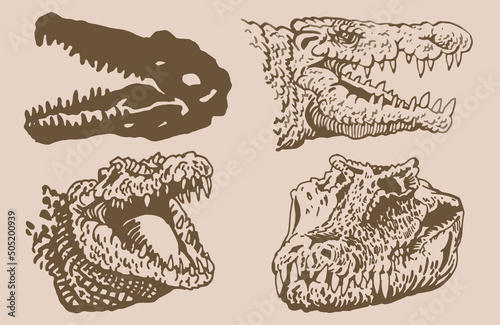 Graphical vintage set of heads of crocodiles , sepia background, vector illustration