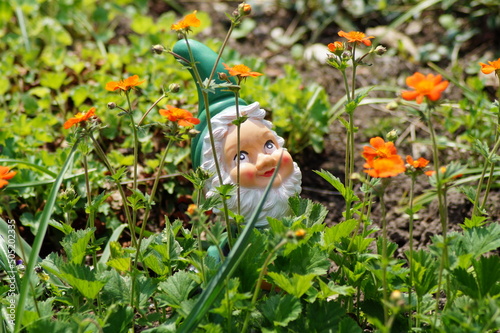 little gnomes hide in the garden