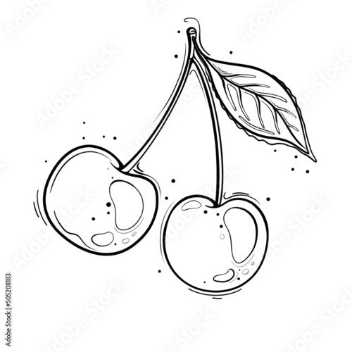 Cherry berries scribble black outline isolated on a white background
