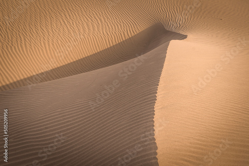 Fototapeta Naklejka Na Ścianę i Meble -  desert sand dunes