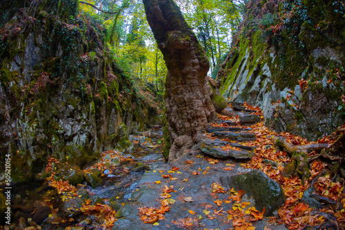 Ayazma National Park in Ida Mountains and streams flowing under the bridge photo