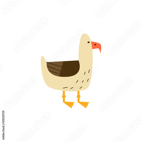 Gull or seagull standing seabird character, flat vector illustration isolated.