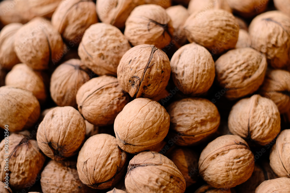 Walnuts in shell, close up, top view. Thin skinned Ukrainian varietal high-quality raw nuts. Autumn harvest, unshelled walnuts textured background. Walnuts in shell, close up, top view. Thin skinned Ukrainian varietal high-quality raw nuts. Autumn harvest, unshelled walnuts textured background.