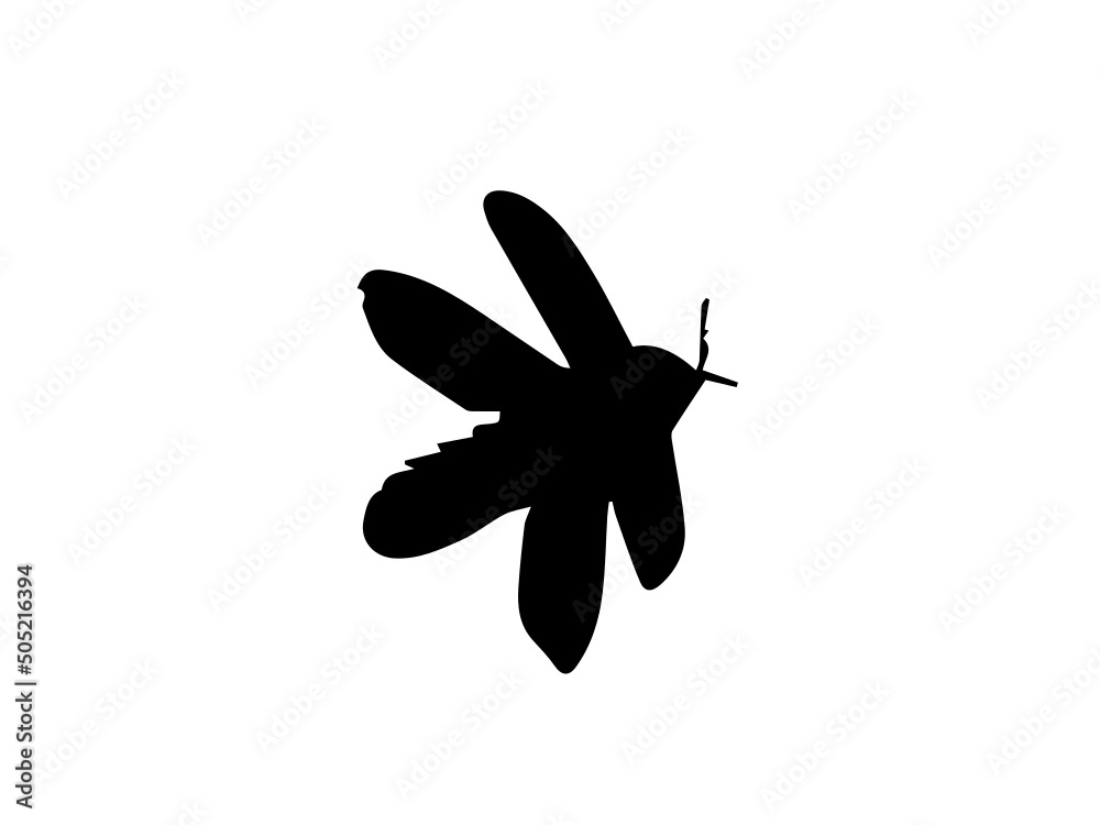 Insects vector image.Free Vector Insect Silhouettes.Flat insect silhouette collection Free Vector.Insect silhouette collection Insects vector image.Free Vector Insect Silhouettes.Flat insect silhouette collection Free Vector.Insect silhouette collection