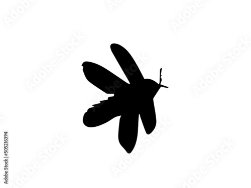 Insects vector image.Free Vector Insect Silhouettes.Flat insect silhouette collection Free Vector.Insect silhouette collection