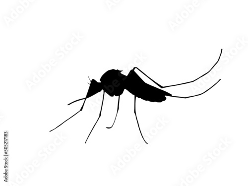 Mosquito vector image.Insects vector image.Free Vector Insect Silhouettes.Flat insect silhouette collection Free Vector.Insect silhouette collection.
