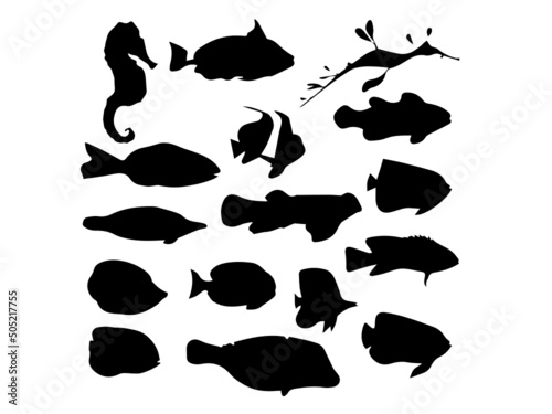 Set of sea fish color design flat. Ocean fish animal, nature cartoon wildlife aquarium, underwater life sea fish, exotic drawing marine fauna sea fish vector illustration.Marine fauna set of aquatic a