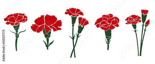 Carnation Flower Vector Set. Vector illustration. photo