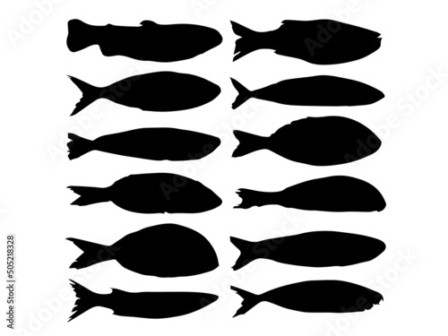 Set of sea fish color design flat. Ocean fish animal, nature cartoon wildlife aquarium, underwater life sea fish, exotic drawing marine fauna sea, The collection of marine fish and mammals vector-illu