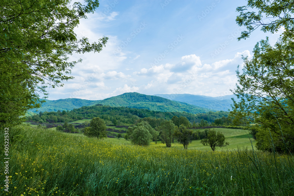 Fototapeta premium Idyllic rural view of the pretty meadow and healthy livestock on sunny spring day, in the beautiful surroundings of the Malo Bonjince, Serbia