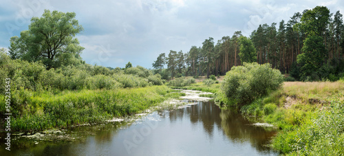 Trees  bushes and water - summer landscape near the Berezina river in Belarus