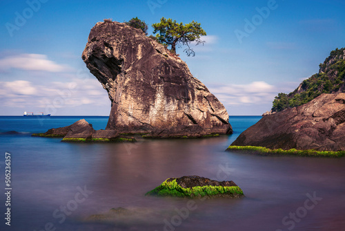 wooded rock. rock view with trees in the sea in the province of bartin