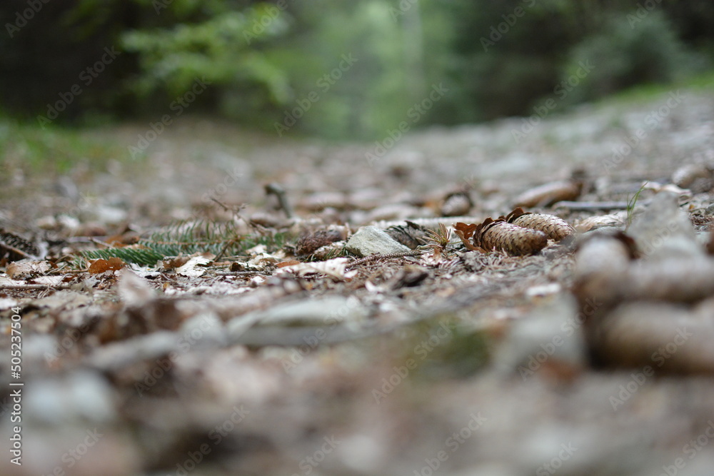 Nature Nature